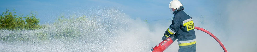 banner-blussen-985x200
